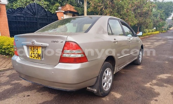 Buy Used Toyota Corolla Brown Car in Nairobi in Nairobi Buy Used Toyota Corolla Brown Car in Nairobi in Nairobi