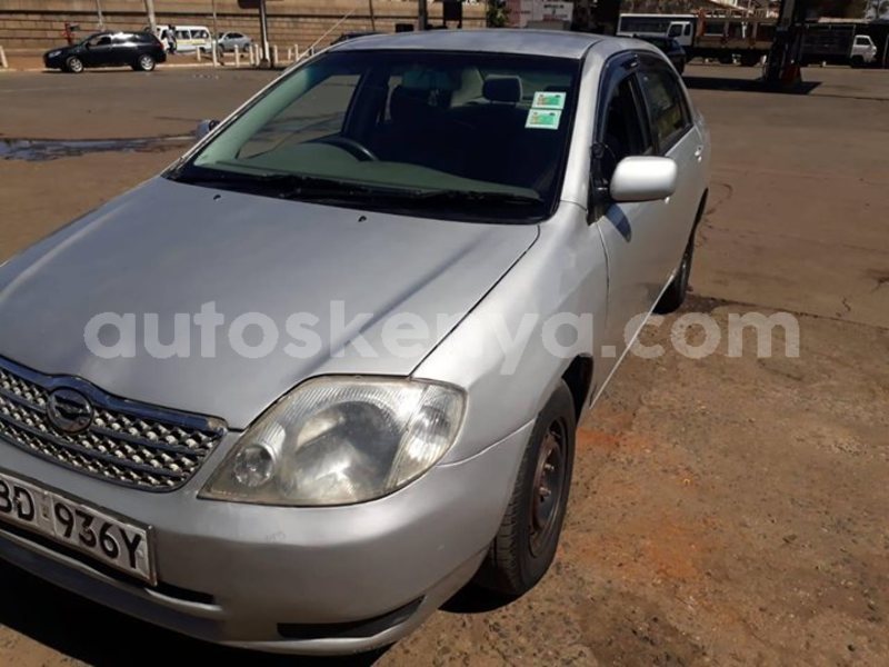 Big with watermark 54255586 10157156602838308 2963657241036587008 o