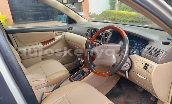 Buy Used Toyota Corolla Brown Car in Nairobi in Nairobi Buy Used Toyota Corolla Brown Car in Nairobi in Nairobi