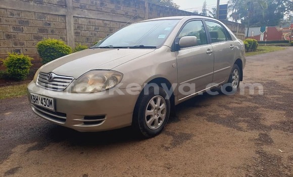 Buy Used Toyota Corolla Brown Car in Nairobi in Nairobi Buy Used Toyota Corolla Brown Car in Nairobi in Nairobi