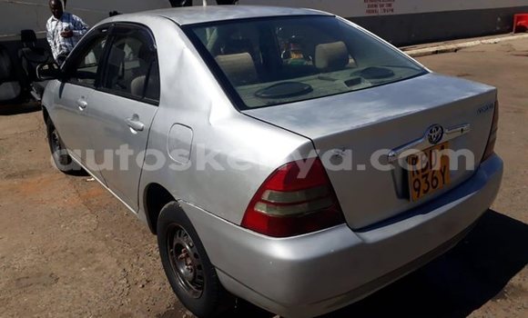 Buy Used Toyota Corolla Silver Car in Nairobi in Nairobi Buy Used Toyota Corolla Silver Car in Nairobi in Nairobi