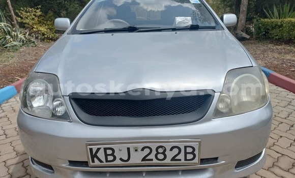 Oofamaa Toyota Runx Silver Makiinaa iti Nairobi keessatti Nairobi keessatti
