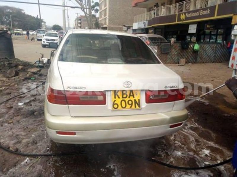 Big with watermark 53216970 10157155821208308 5154739385526124544 n