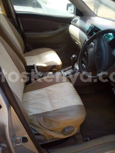 Big with watermark 53752206 10157153426018308 327257584329293824 n