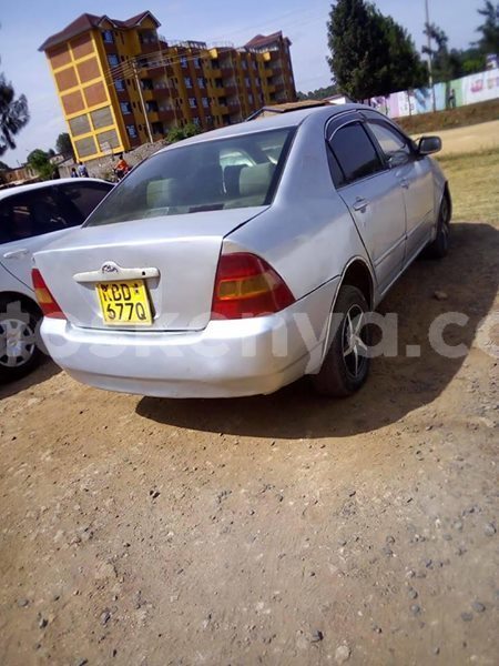 Big with watermark 53609581 10157153425938308 7335469692464660480 n