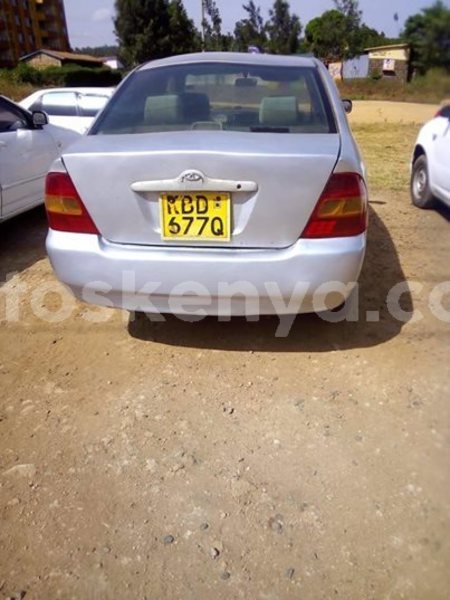 Big with watermark 53761254 10157153425828308 5805881583223177216 n