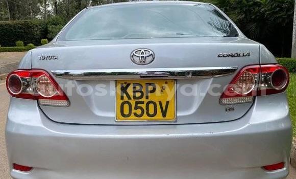 Buy Used Toyota Corolla Silver Car in Nairobi in Nairobi Buy Used Toyota Corolla Silver Car in Nairobi in Nairobi