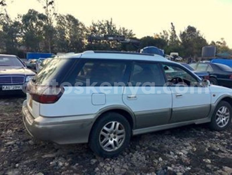 Big with watermark 52918084 10157129271253308 7514813490792497152 n