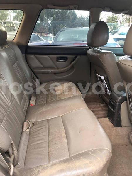 Big with watermark 52684495 10157129271313308 8260912656580345856 n