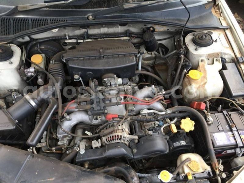 Big with watermark 53453051 10157129271368308 3820121192132509696 o