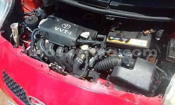 Buy Used Toyota Vitz Red Car in Nairobi in Nairobi Buy Used Toyota Vitz Red Car in Nairobi in Nairobi