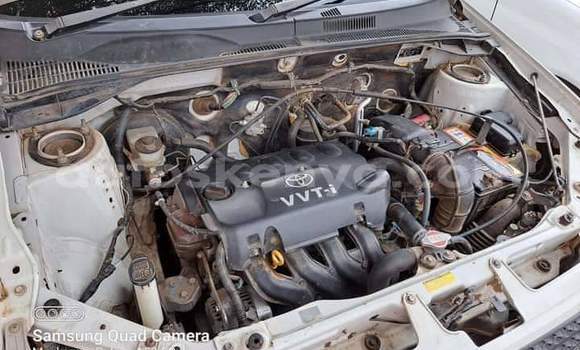 Oofamaa Toyota Succeed White Makiinaa iti Nairobi keessatti Nairobi keessatti Oofamaa Toyota Succeed White Makiinaa iti Nairobi keessatti Nairobi keessatti