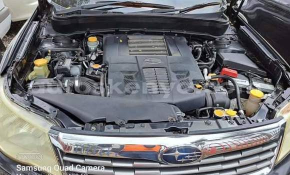 Oofamaa Subaru Forester Black Makiinaa iti Nairobi keessatti Nairobi keessatti Oofamaa Subaru Forester Black Makiinaa iti Nairobi keessatti Nairobi keessatti