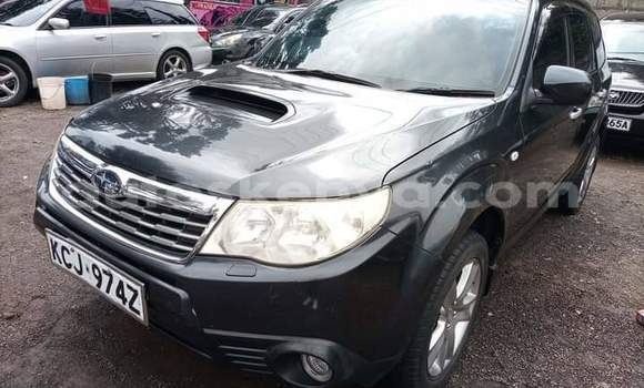 Oofamaa Subaru Forester Black Makiinaa iti Nairobi keessatti Nairobi keessatti Oofamaa Subaru Forester Black Makiinaa iti Nairobi keessatti Nairobi keessatti