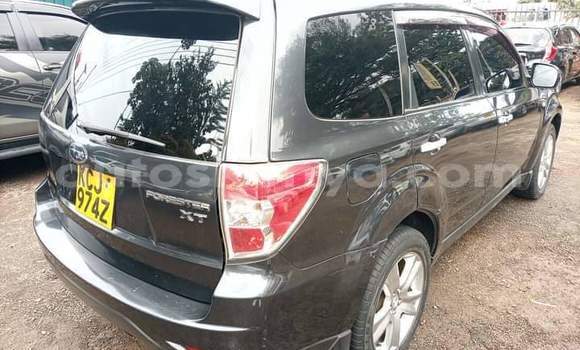 Nunua Ilio tumika Subaru Forester Nyeusi Gari ndani ya Nairobi nchini Nairobi Nunua Ilio tumika Subaru Forester Nyeusi Gari ndani ya Nairobi nchini Nairobi