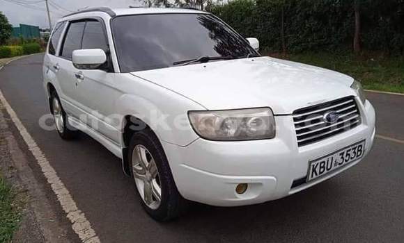 Oofamaa Subaru Forester White Makiinaa iti Nairobi keessatti Nairobi keessatti Oofamaa Subaru Forester White Makiinaa iti Nairobi keessatti Nairobi keessatti