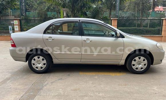 Nunua Ilio tumika Toyota Corolla Fedha Gari ndani ya Nairobi nchini Nairobi Nunua Ilio tumika Toyota Corolla Fedha Gari ndani ya Nairobi nchini Nairobi