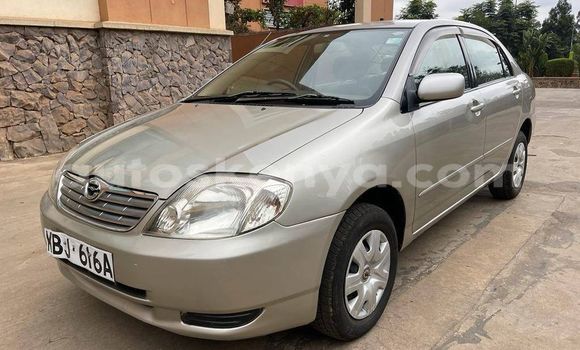 Nunua Ilio tumika Toyota Corolla Fedha Gari ndani ya Nairobi nchini Nairobi Nunua Ilio tumika Toyota Corolla Fedha Gari ndani ya Nairobi nchini Nairobi