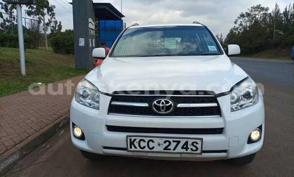 Nunua Ilio tumika Toyota RAV4 Nyeupe Gari ndani ya Nairobi nchini Nairobi Nunua Ilio tumika Toyota RAV4 Nyeupe Gari ndani ya Nairobi nchini Nairobi