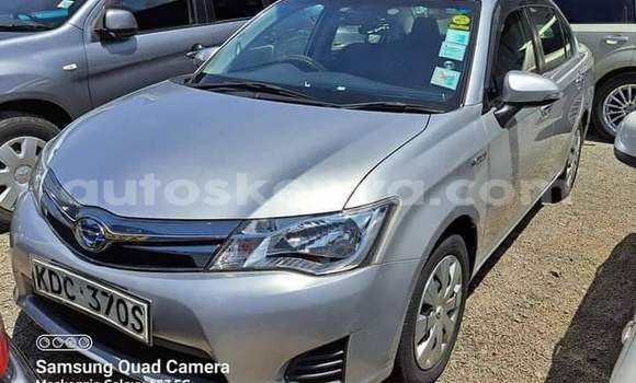 Oofamaa Toyota Axio Silver Makiinaa iti Nairobi keessatti Nairobi keessatti Oofamaa Toyota Axio Silver Makiinaa iti Nairobi keessatti Nairobi keessatti
