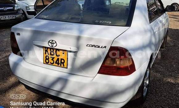 Oofamaa Toyota Corolla White Makiinaa iti Nairobi keessatti Nairobi keessatti Oofamaa Toyota Corolla White Makiinaa iti Nairobi keessatti Nairobi keessatti