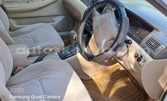 Oofamaa Toyota Corolla White Makiinaa iti Nairobi keessatti Nairobi keessatti Oofamaa Toyota Corolla White Makiinaa iti Nairobi keessatti Nairobi keessatti