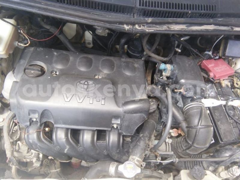 Big with watermark 53740612 340882549873638 2445965179079360512 o