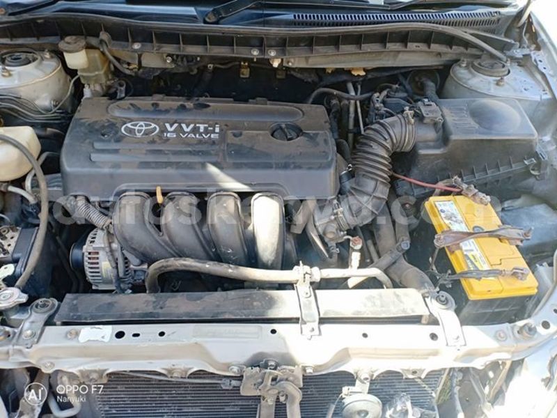 Big with watermark 53484806 339450556683504 9203023727346843648 o