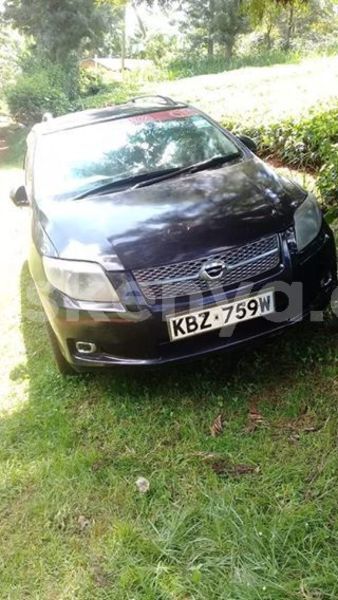 Big with watermark 54210486 338452233450003 7316605130948739072 n