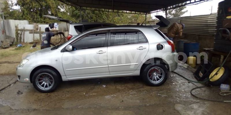 Big with watermark 52813692 333884670573426 2942309041667309568 o