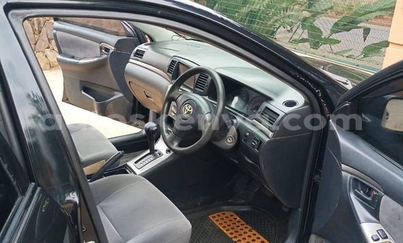 Buy Used Toyota Runx Black Car in Nairobi in Nairobi Buy Used Toyota Runx Black Car in Nairobi in Nairobi