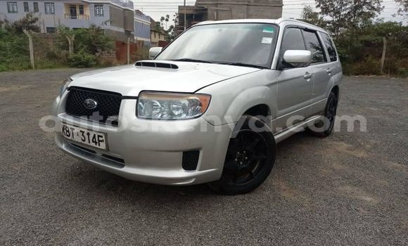 Oofamaa Subaru Forester Silver Makiinaa iti Nairobi keessatti Nairobi keessatti Oofamaa Subaru Forester Silver Makiinaa iti Nairobi keessatti Nairobi keessatti