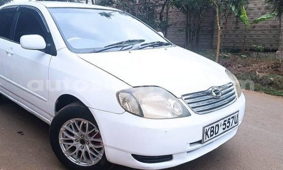Oofamaa Toyota Corolla White Makiinaa iti Nairobi keessatti Nairobi keessatti Oofamaa Toyota Corolla White Makiinaa iti Nairobi keessatti Nairobi keessatti