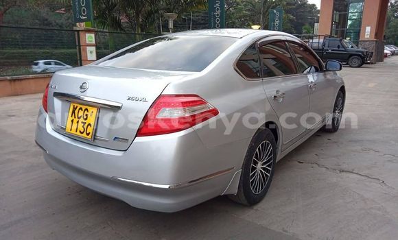 Buy Used Nissan Teana Silver Car in Nairobi in Nairobi Buy Used Nissan Teana Silver Car in Nairobi in Nairobi