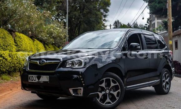 Oofamaa Subaru Forester Black Makiinaa iti Nairobi keessatti Nairobi keessatti Oofamaa Subaru Forester Black Makiinaa iti Nairobi keessatti Nairobi keessatti