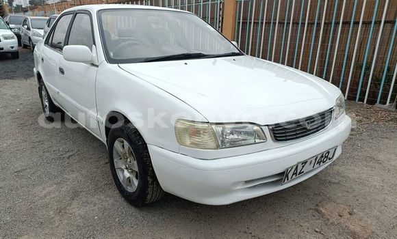 Buy Used Toyota Corolla White Car in Nairobi in Nairobi Buy Used Toyota Corolla White Car in Nairobi in Nairobi