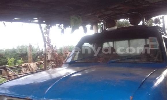 Oofamaa Datsun 720 Blue Makiinaa iti Meru keessatti East Kenya keessatti