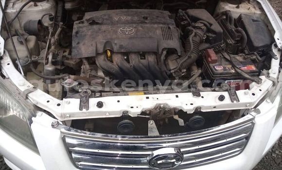 Buy Used Toyota Axio White Car in Nairobi in Nairobi Buy Used Toyota Axio White Car in Nairobi in Nairobi
