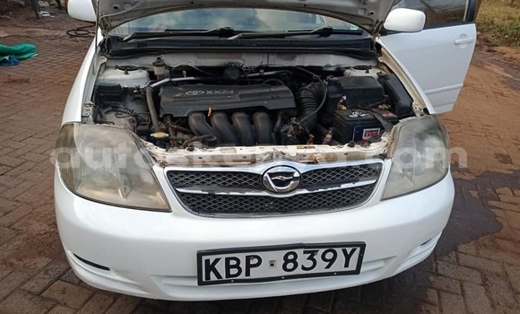 Nunua Ilio tumika Toyota Fielder Nyeupe Gari ndani ya Nairobi nchini Nairobi Nunua Ilio tumika Toyota Fielder Nyeupe Gari ndani ya Nairobi nchini Nairobi