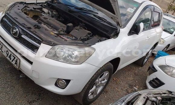 Oofamaa Toyota RAV4 White Makiinaa iti Nairobi keessatti Nairobi keessatti Oofamaa Toyota RAV4 White Makiinaa iti Nairobi keessatti Nairobi keessatti