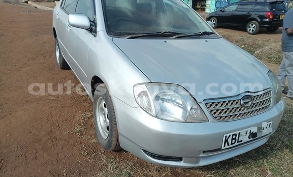 Nunua Ilio tumika Toyota Corolla Fedha Gari ndani ya Nairobi nchini Nairobi Nunua Ilio tumika Toyota Corolla Fedha Gari ndani ya Nairobi nchini Nairobi