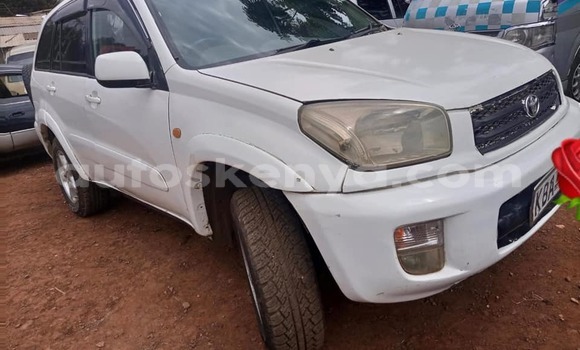 Nunua Ilio tumika Toyota RAV4 Nyeupe Gari ndani ya Nairobi nchini Nairobi