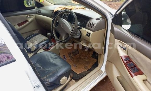 Oofamaa Toyota Corolla White Makiinaa iti Nyeri keessatti Central Kenya keessatti Oofamaa Toyota Corolla White Makiinaa iti Nyeri keessatti Central Kenya keessatti
