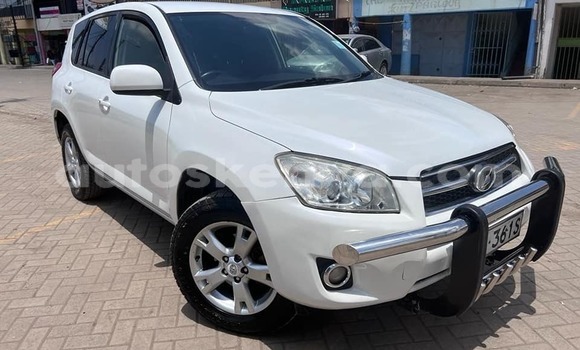 Oofamaa Toyota RAV4 White Makiinaa iti Nairobi keessatti Nairobi keessatti Oofamaa Toyota RAV4 White Makiinaa iti Nairobi keessatti Nairobi keessatti