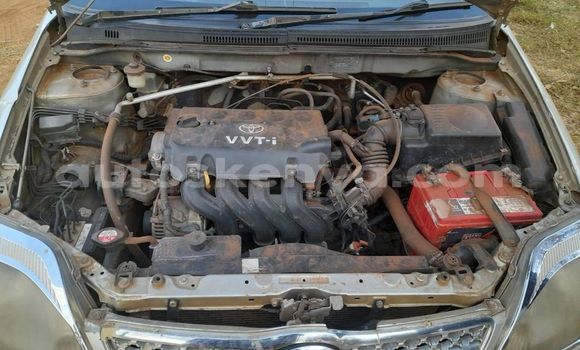 Buy Used Toyota Corolla Silver Car in Nairobi in Nairobi Buy Used Toyota Corolla Silver Car in Nairobi in Nairobi