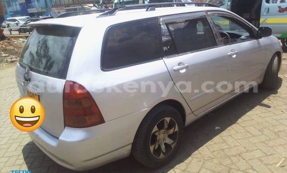 Oofamaa Toyota Fielder Silver Makiinaa iti Kiambu keessatti Central Kenya keessatti