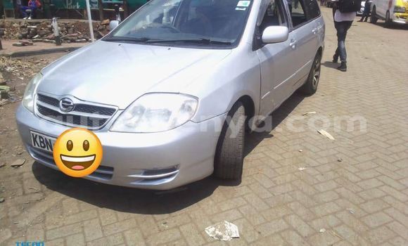 Buy Used Toyota Fielder Silver Car in Kiambu in Central Kenya Buy Used Toyota Fielder Silver Car in Kiambu in Central Kenya