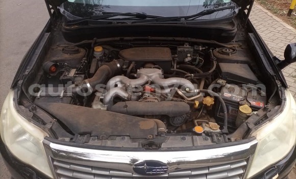 Buy Used Subaru Forester Black Car in Nairobi in Nairobi Buy Used Subaru Forester Black Car in Nairobi in Nairobi