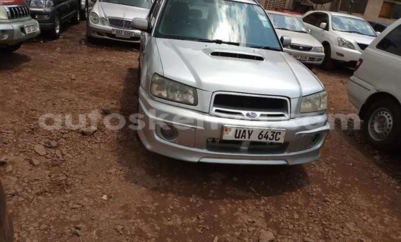 Nunua Ilio tumika Subaru Forester Fedha Gari ndani ya Mombasa nchini Kenya ya Pwani Nunua Ilio tumika Subaru Forester Fedha Gari ndani ya Mombasa nchini Kenya ya Pwani