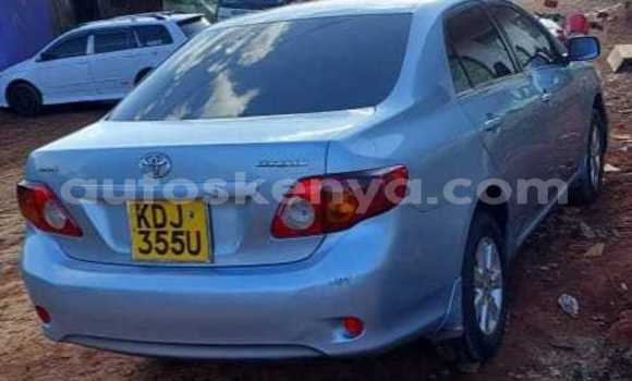 Buy Used Toyota Corolla Silver Car in Nairobi in Nairobi Buy Used Toyota Corolla Silver Car in Nairobi in Nairobi